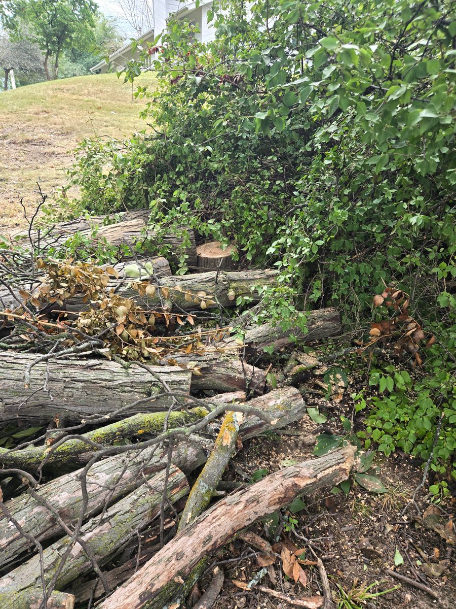 Tree Removal for Lawn Ranger Yard And Tree Service LLC in Ottumwa, IA