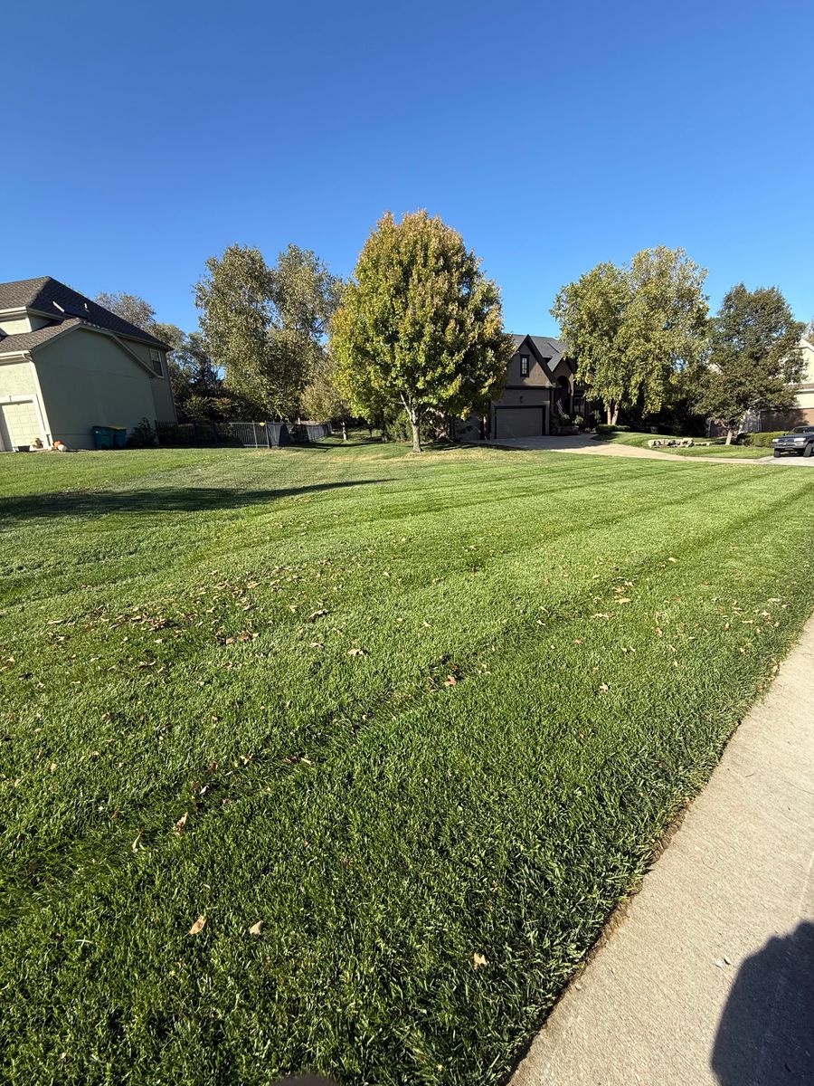 Lawn Mowing for Elite Lawn Care Solutions in Leavenworth, KS