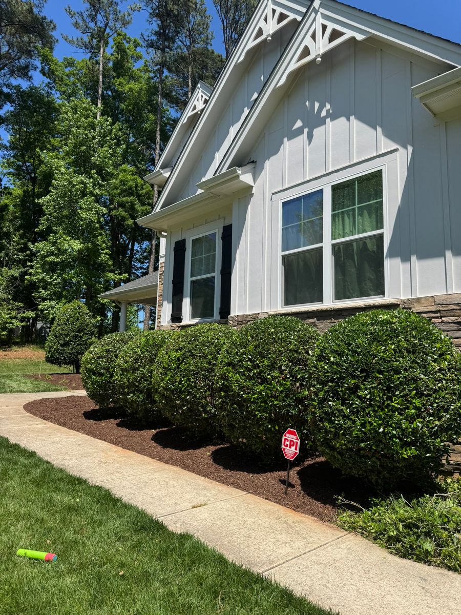 Shrub Trimming for Done2Day LLC in Wake Forest, NC