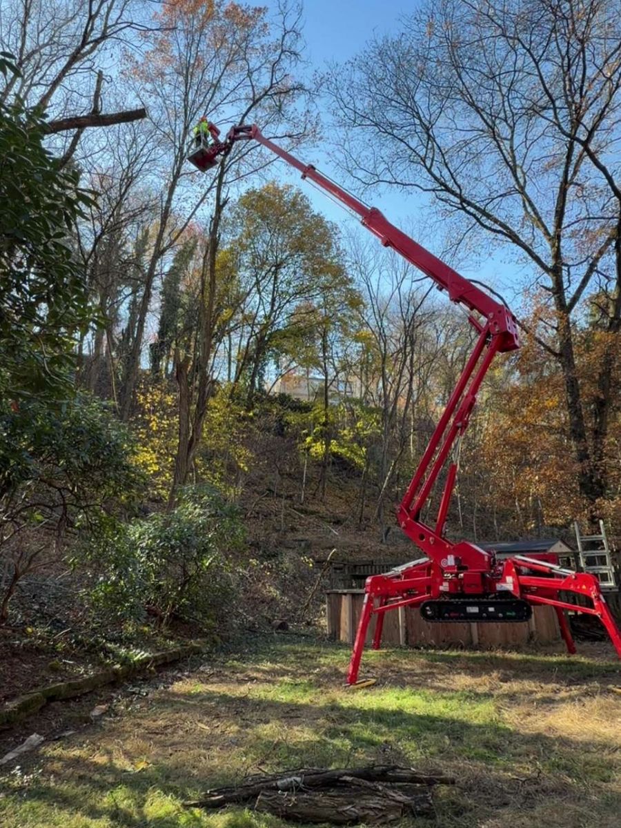 Tree Removal for Mark's Multiple Landscaping in Pittsburgh, PA