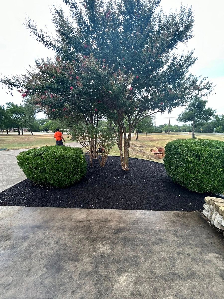 Landscape Design for Prosper Renovations in Kyle, TX