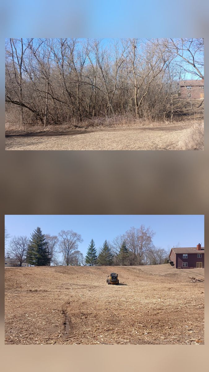 Land Clearing for Willing Trucking & Excavating in Evansville, WI