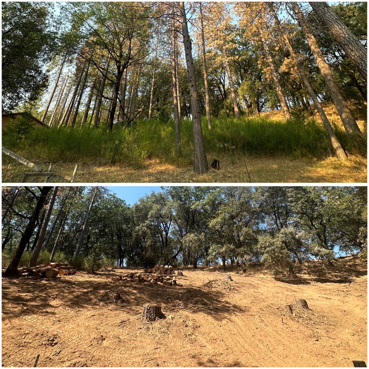 Defensible Space for Tyco Forest Management in Placerville, CA