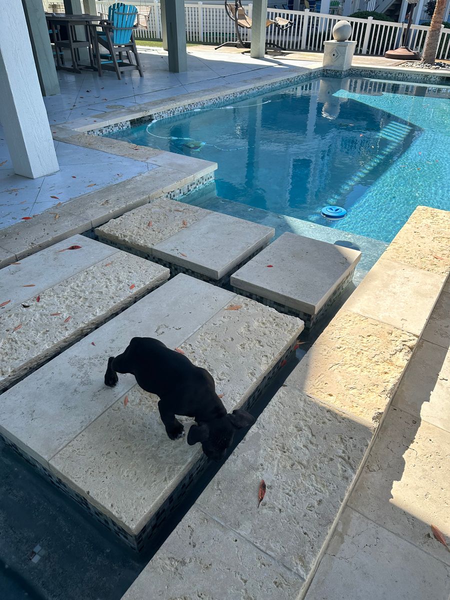 Pool Remodels for Texas Curb N Borders in Houston, TX