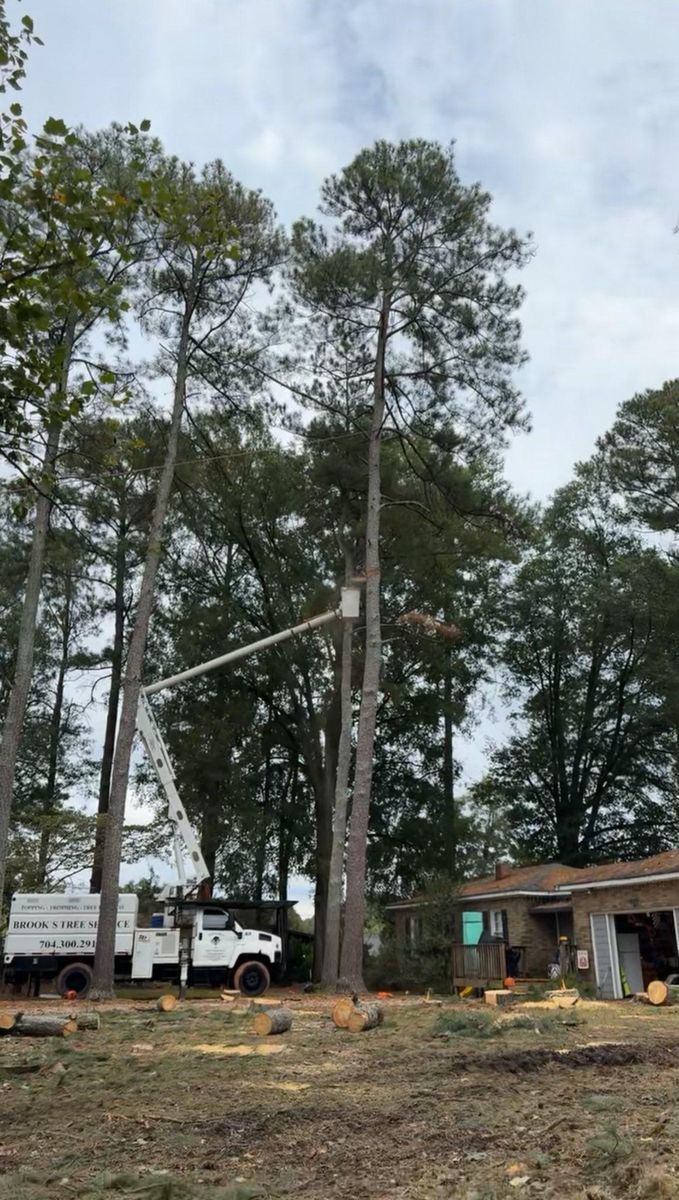 Fall Clean Up for Brooks Tree Service, LLC in Casar, NC