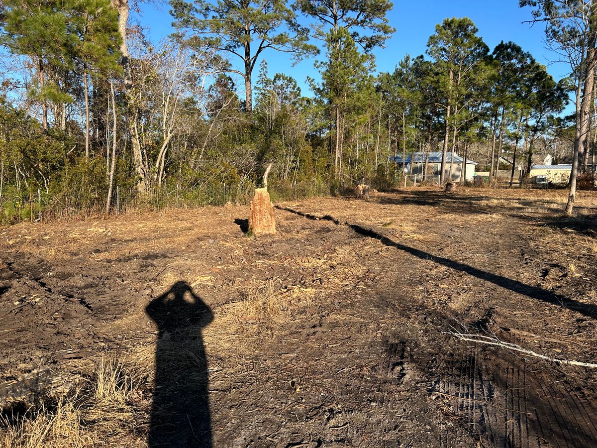 Forestry Mulching/Bush Hogging for Top Notch Landscape in Sneads Ferry, NC