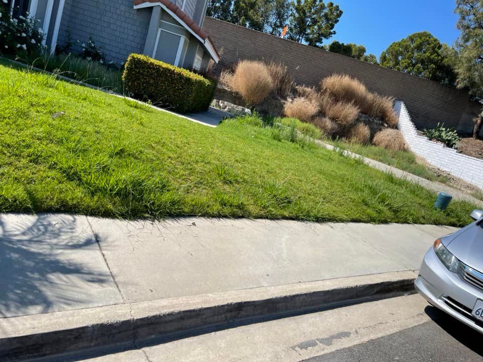 Commercial Property Maintenance for Benito's Gardening in San Juan Capistrano, CA