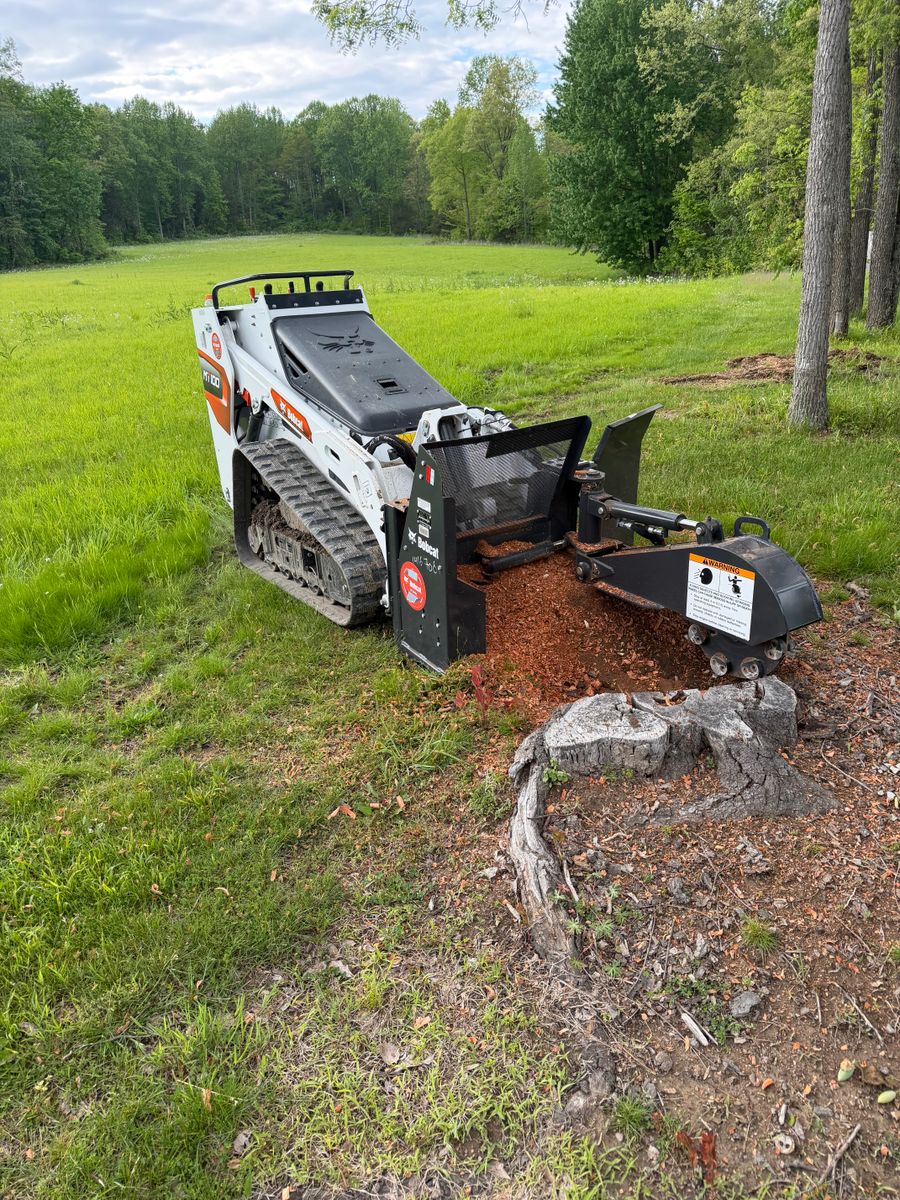 Stump Removal for Kadin’s Tree Service in North Vernon, IN