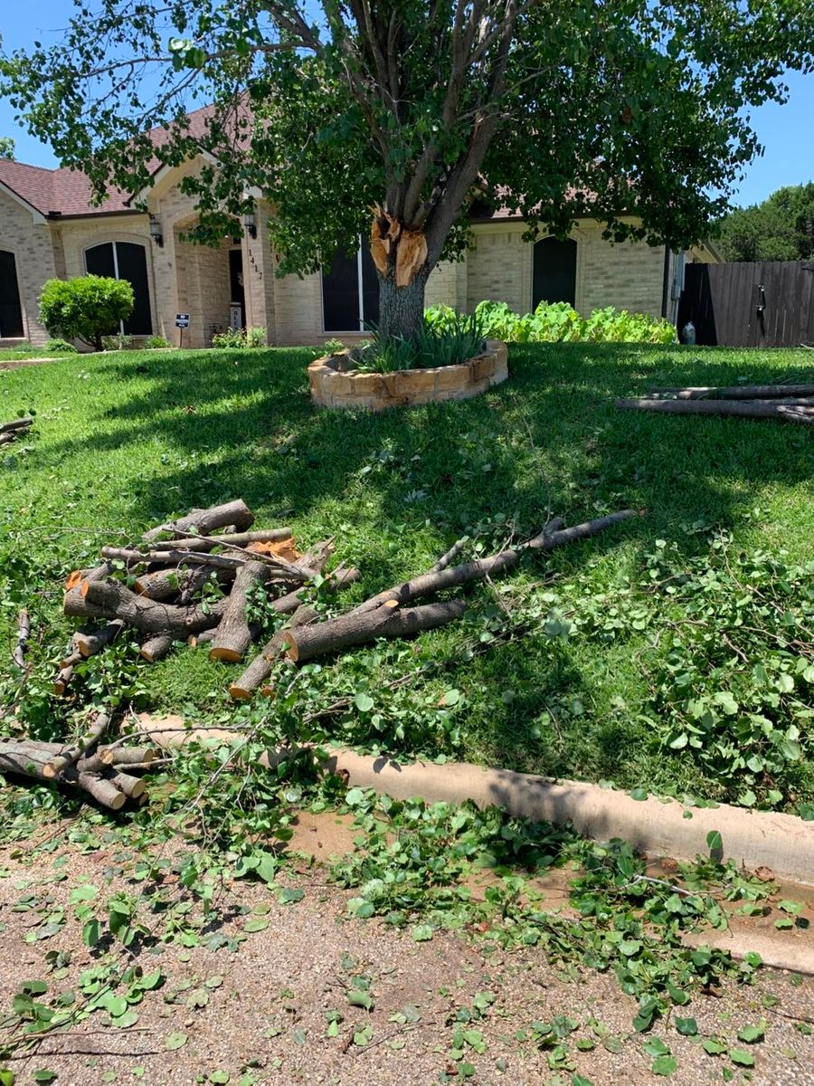 Tree Removal for Father & Son Lawn Care in Harker Heights, TX