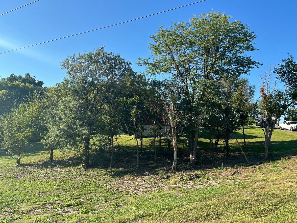 Land Clearing for Cross Family Tree Service in Kearney, MO