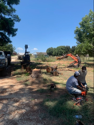 Tree Removal & Trimming for Teague Trees & Landscaping in Rendon, TX