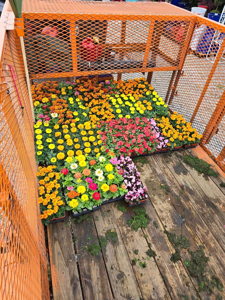 Flower Beds for Wilson's Yard Work, LLC in Tyler, TX