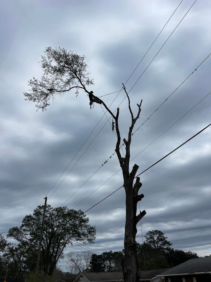 Storm Cleanup for Mr Timber in Ocala, FL