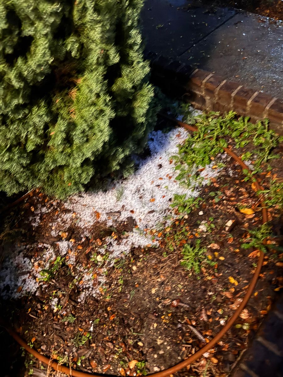 Roofing Repairs for Major League Roofing in Frisco, TX