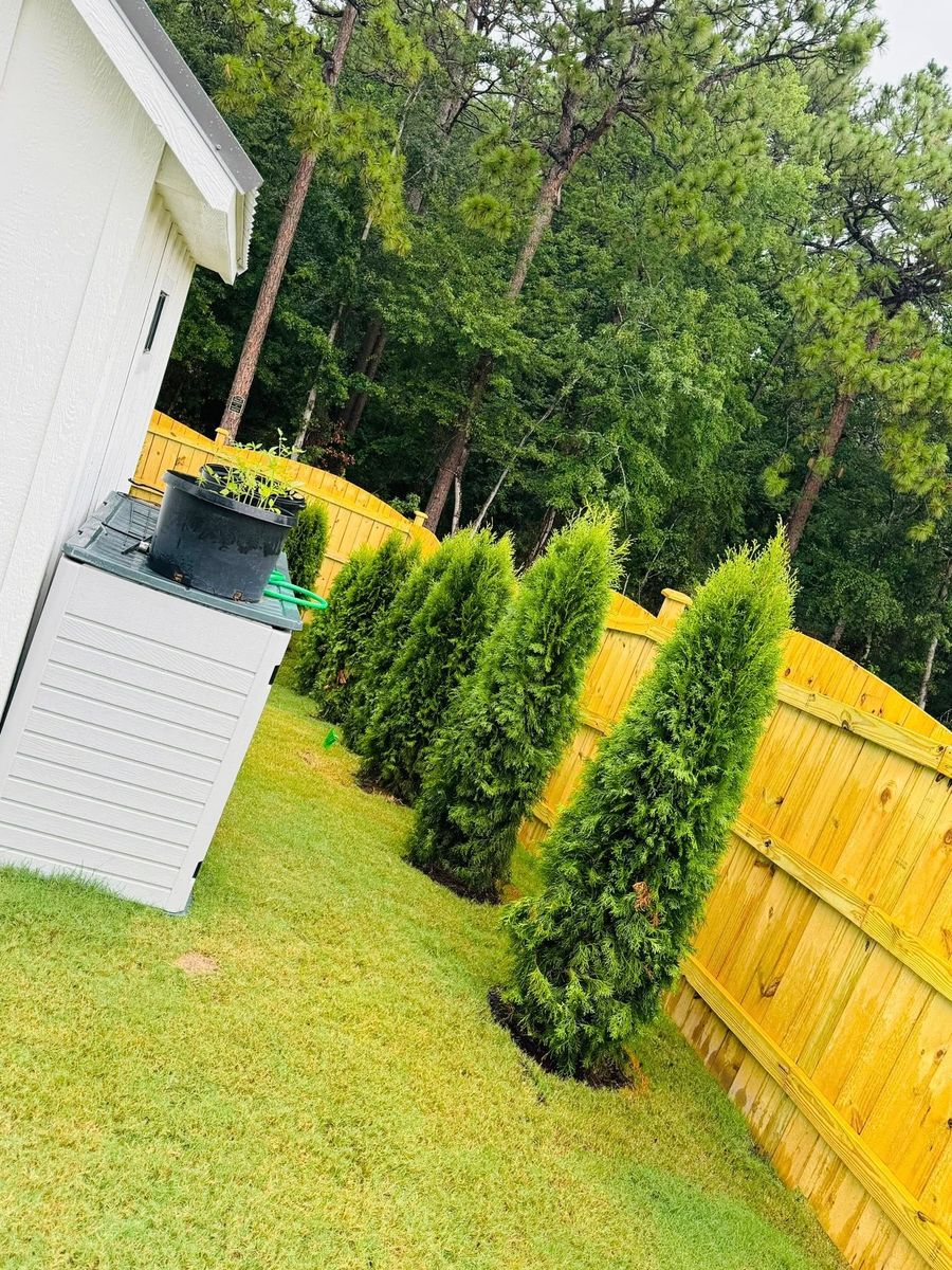 Shrub & Tree Trimming for Trophy Outdoor Solutions in Lexington, SC