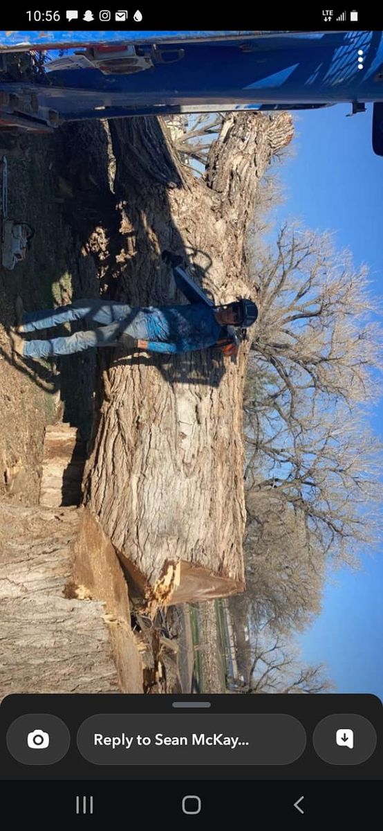 Tree Removal for SMH Tree Service in Atwood, KS