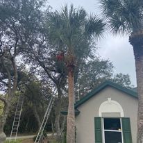 Mulch Installation for Efficient and Reliable Tree Service in Lake Wales, FL