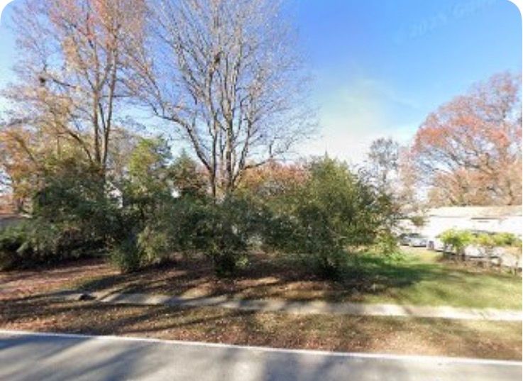 Tree Trimming & Removal for R Merkli Inc. in Mount Vernon , VA