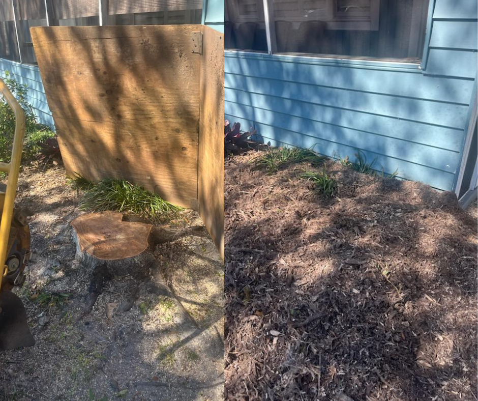 Stump Grinding for KB’s Stump Removal in Seminole, FL