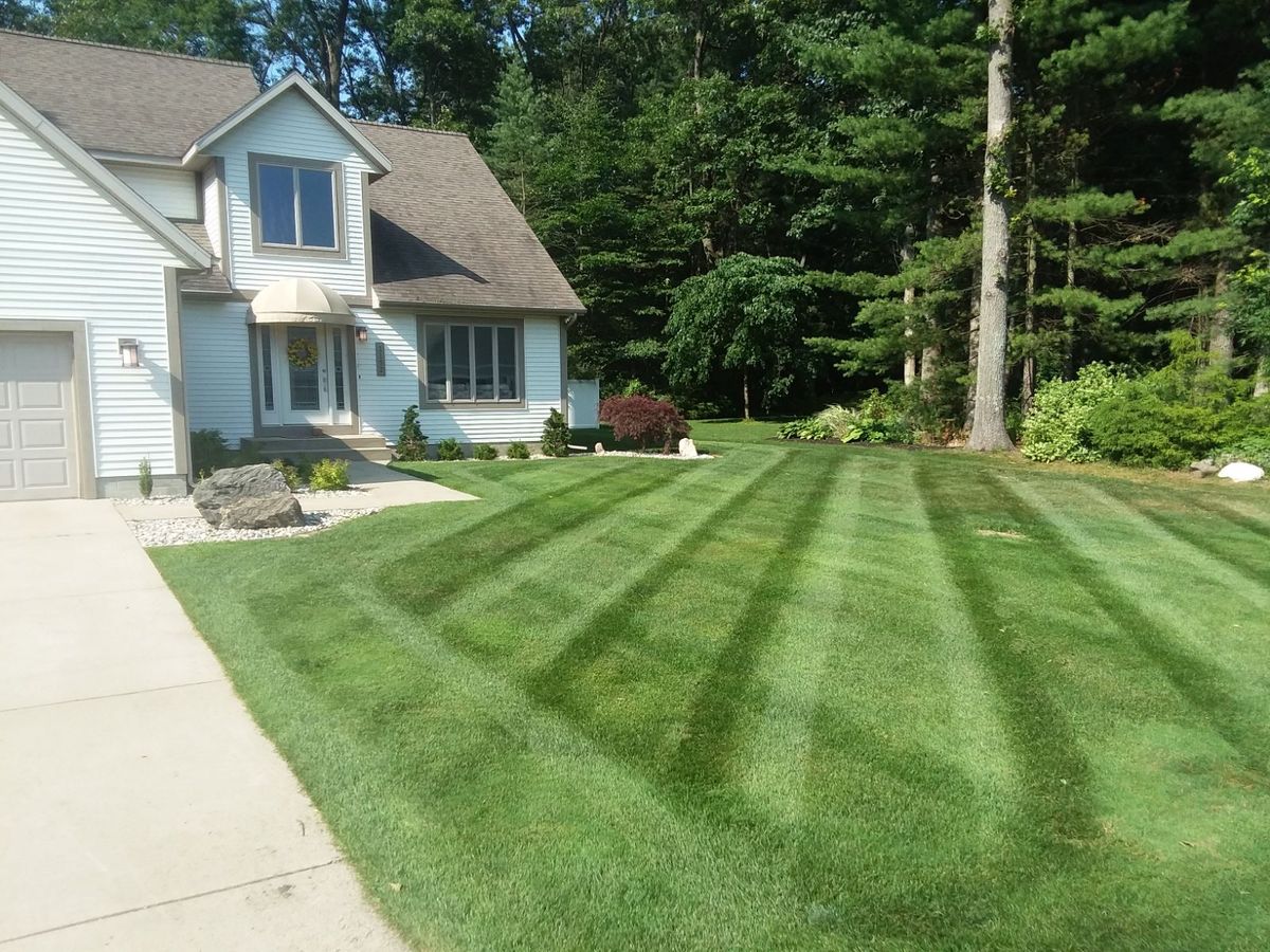 Lawn Care for Greenscape Lawns in Montague, MI