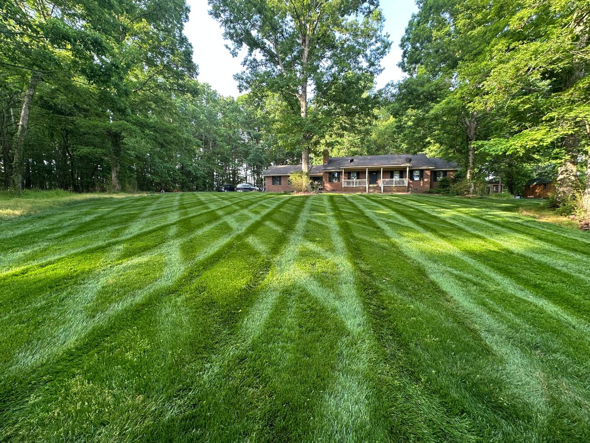 Mowing for Pecina Pine Needles in Monroe, NC