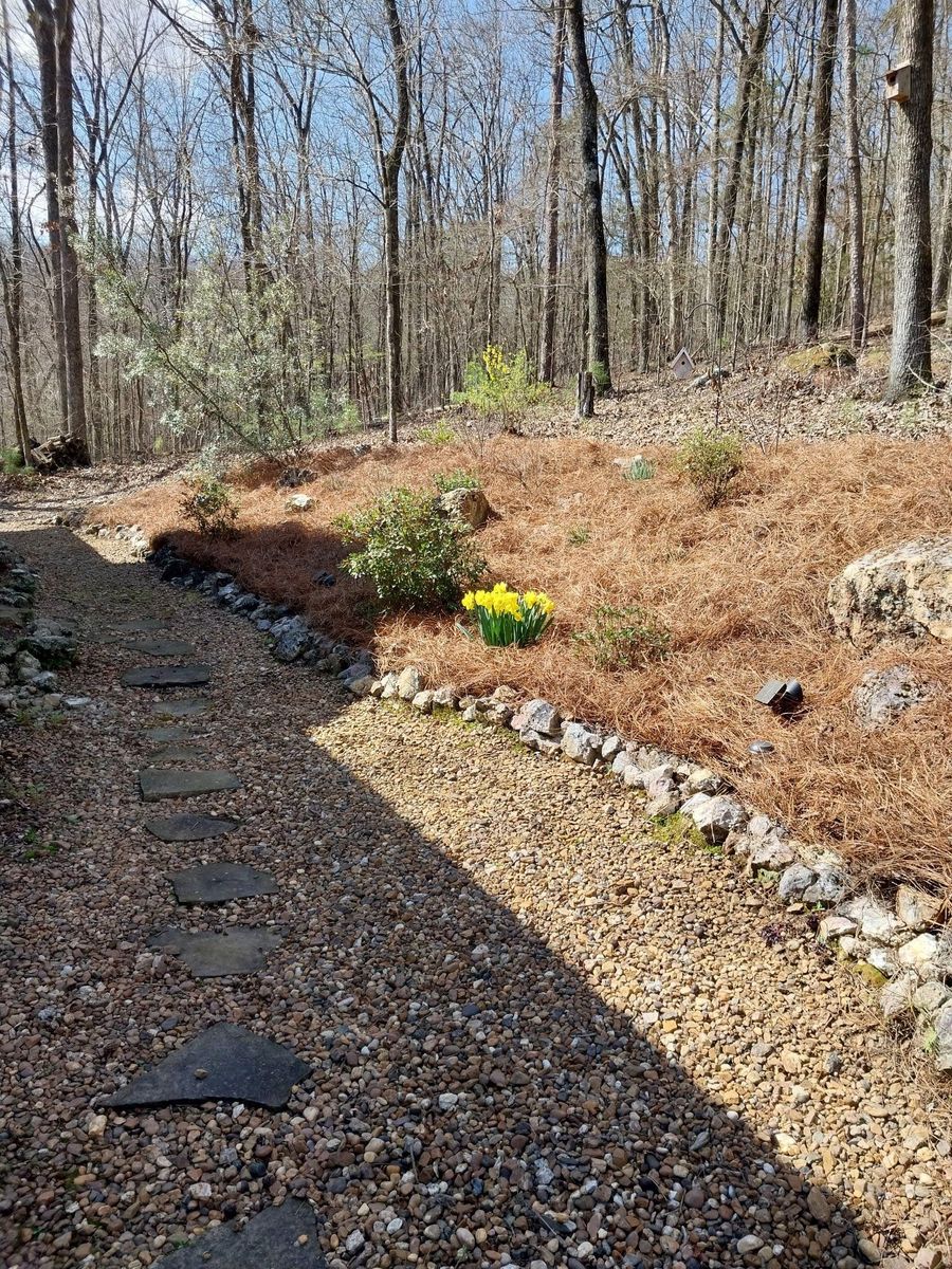 Full Lawn Services for Greenwood Lawn & Landscaping LLC in Talladega, Alabama