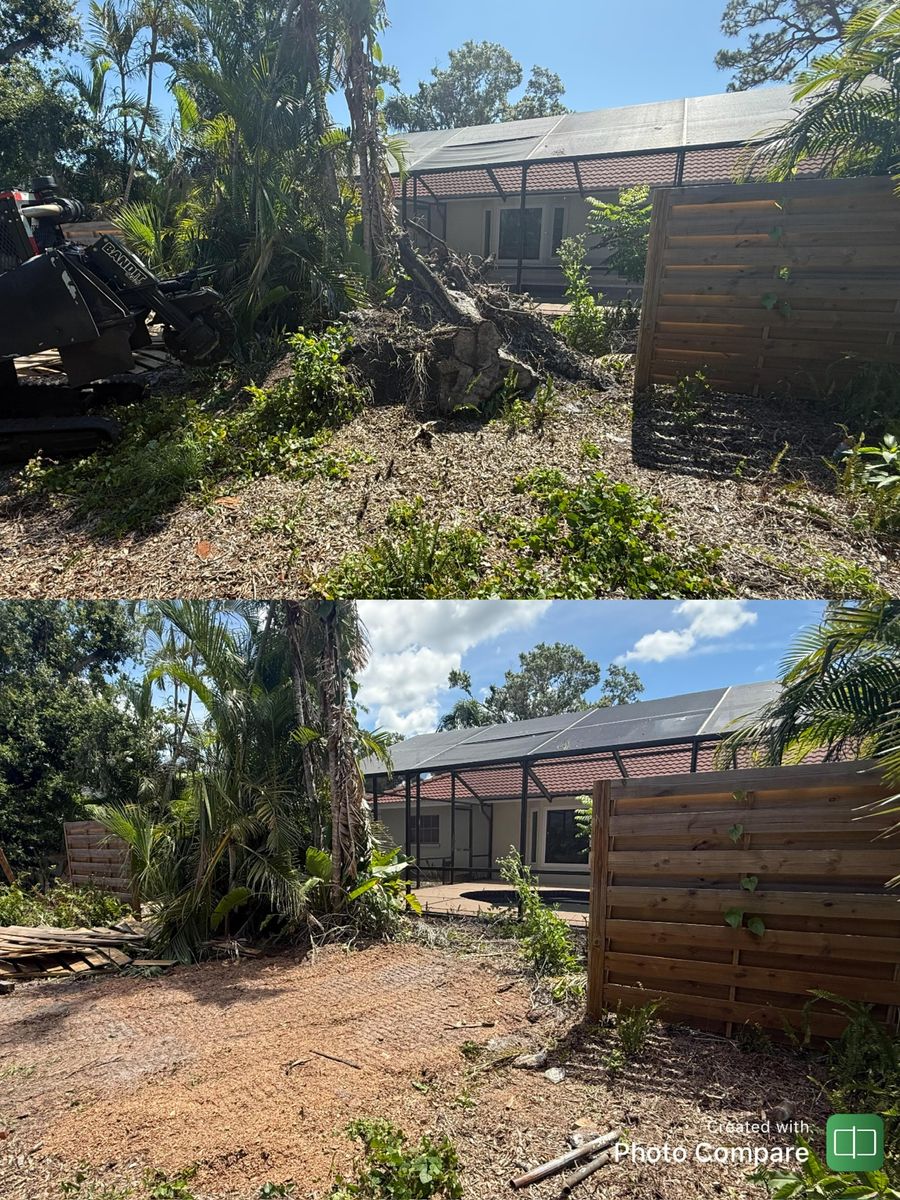 Stump Removal for Adam's Tree and Stump Care in Sarasota, FL