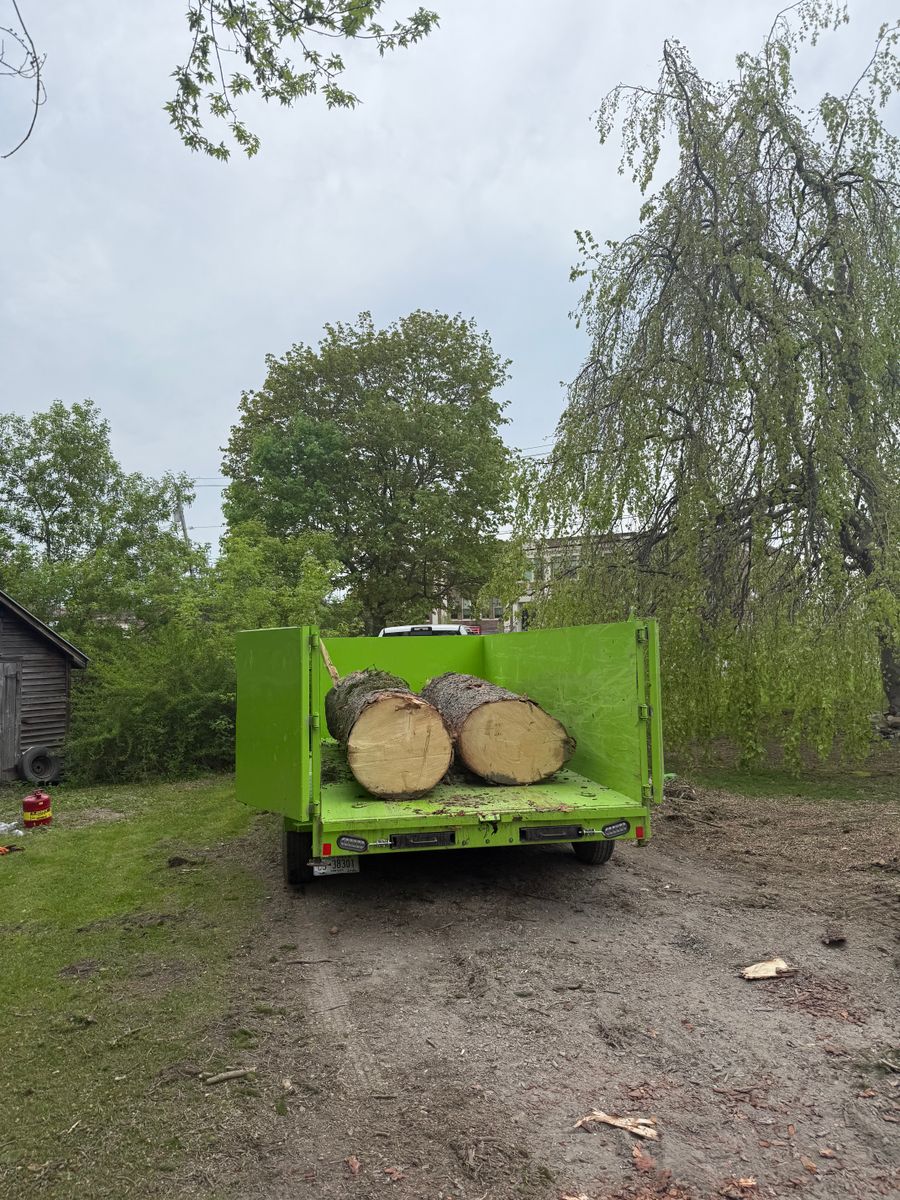Tree Removal for Sterlings Tree Removal in Cobleskill, New York