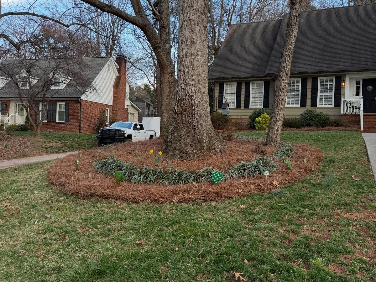Mulching and pine needling for Holloway Yard Company in Greensboro, NC
