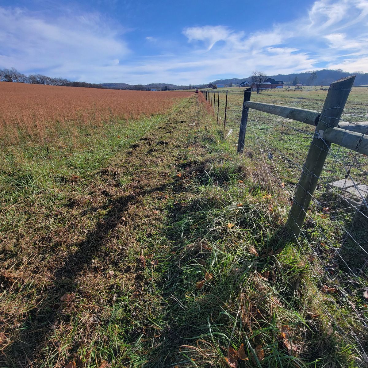 Property management and maintenance for Z's Land Management & Forestry Mulching in Smithville, TN