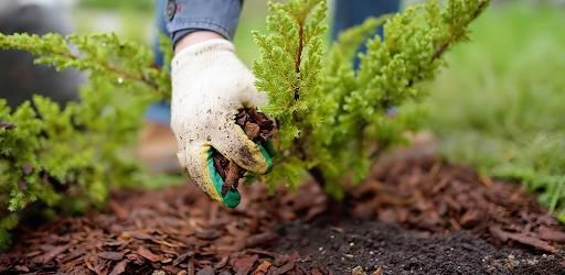 Mulch Installation for Mulch & Dig in West Bloomfield Township, MI