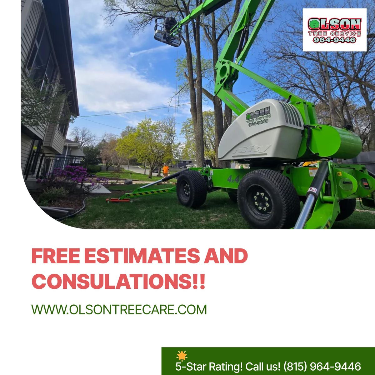 Tree Removal for Olson Tree Service, Inc in Rockford, IL