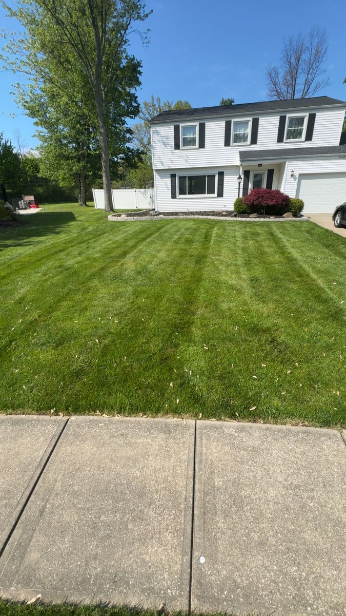 Mowing for Yard Theory in Willowick, OH
