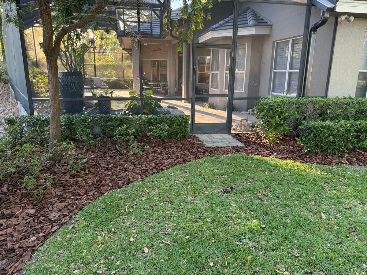 Fall Clean Up for Amerigrown Tree And Lawn in Apopka, FL