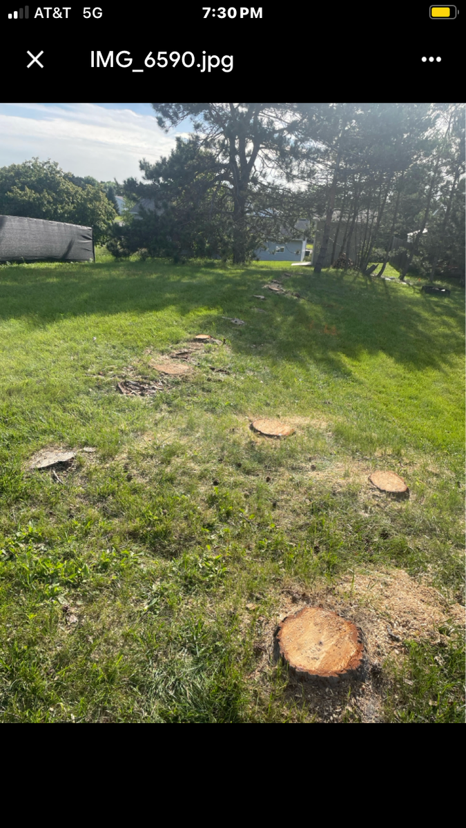 Stump Grinding for Brush Busters in Wausau, WI