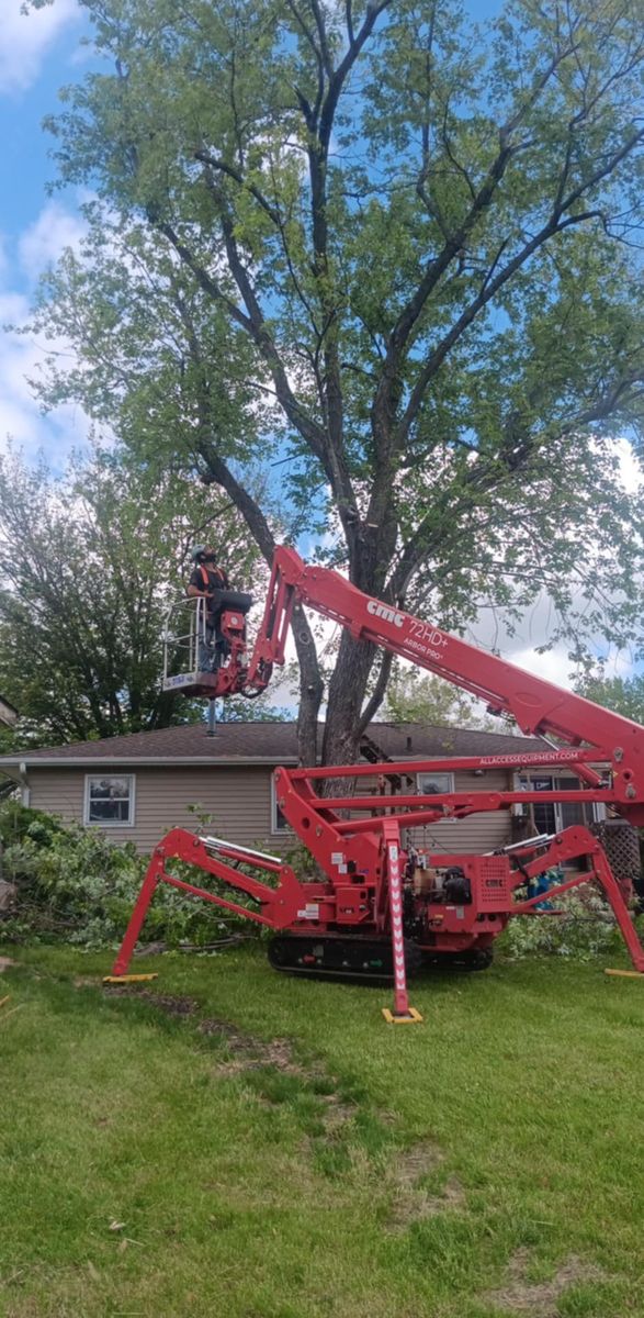 Tree Trimming for Lawn Ranger Yard And Tree Service LLC in Ottumwa, IA