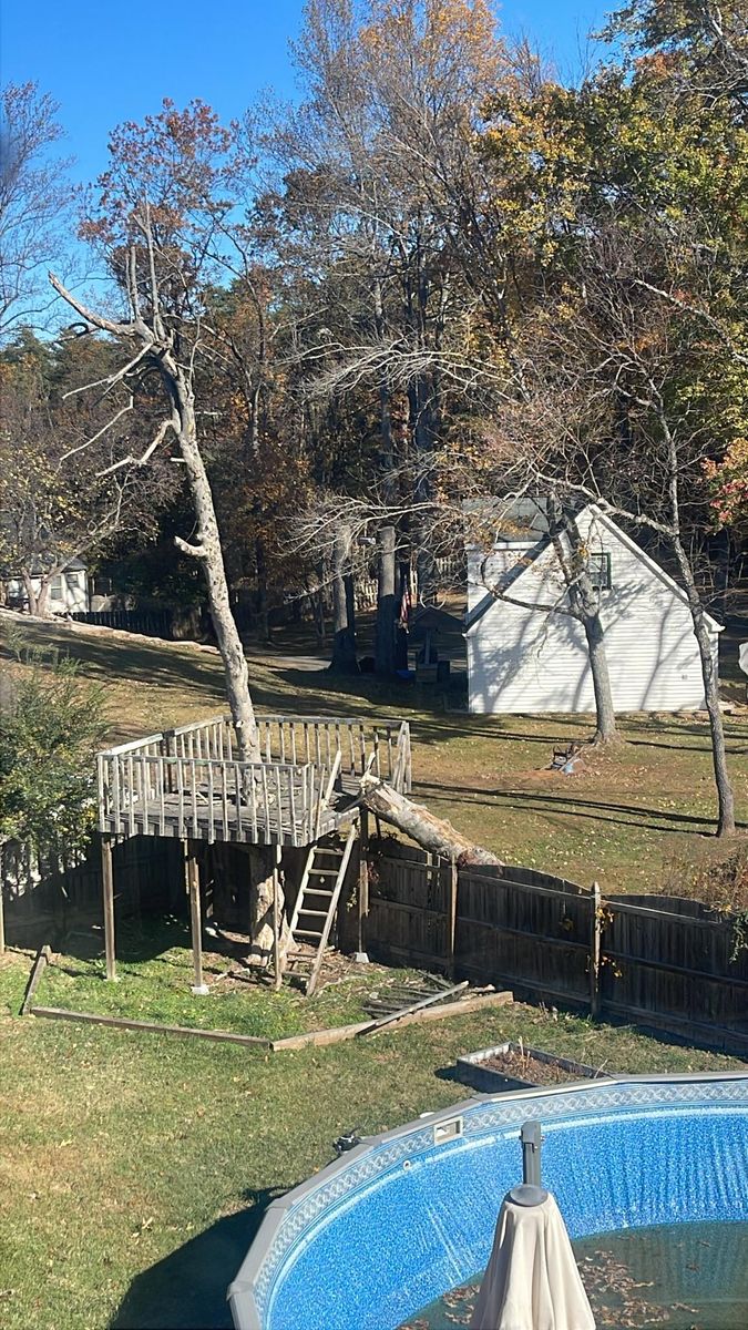 Tree Trimming for DIAZ TREE in Stafford, VA