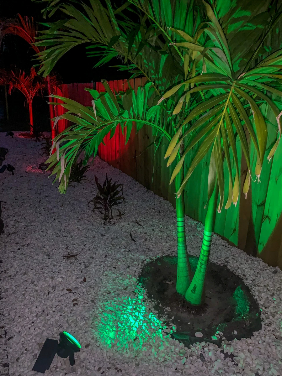 Landscape Lighting Installation for Affordable Property Preservation Services in Tampa, Florida