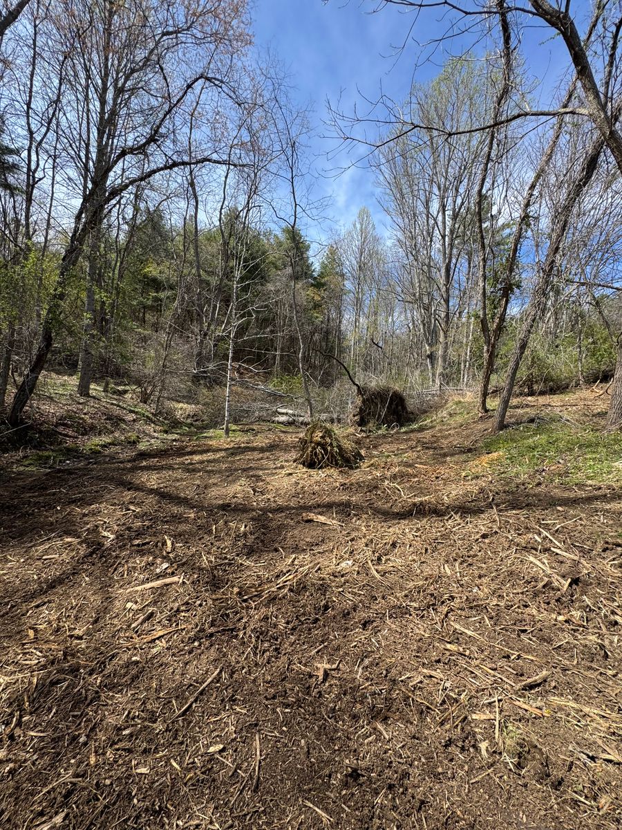 Foresty Remulching for Mountain Goat Land Management in Galax, VA