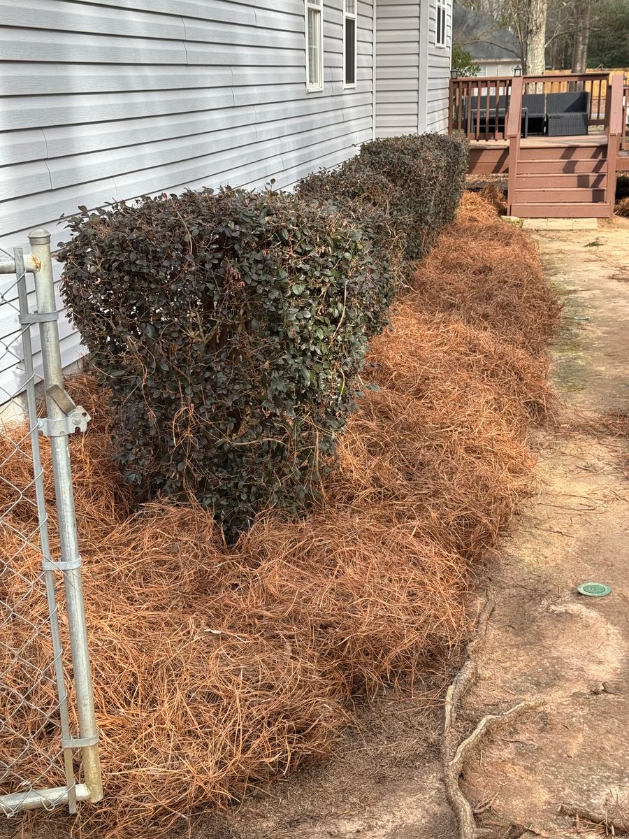 Turf, Ornamental, and Irrigation for Camalett Services in Perry, GA