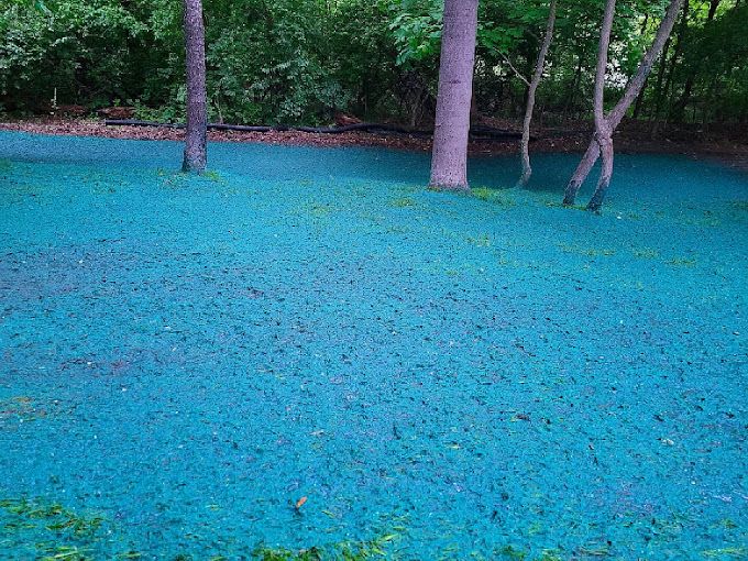 Hydroseeding  for Empire Development Group in Evansville, IN