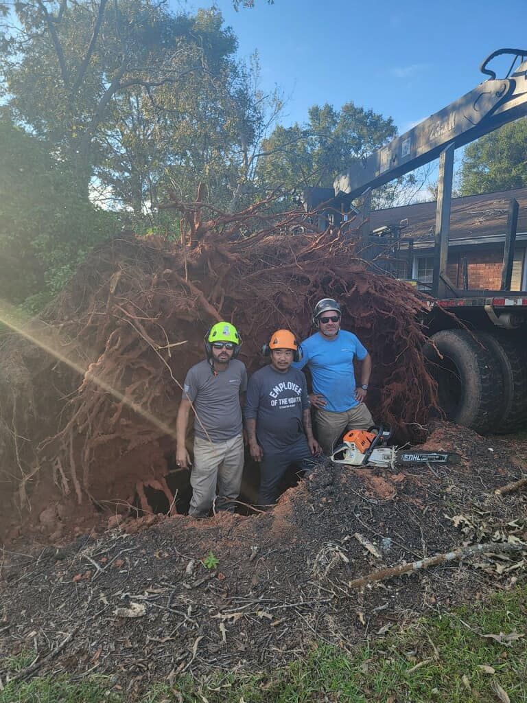 Tree Removal for Owens Tree Services in Inman, SC