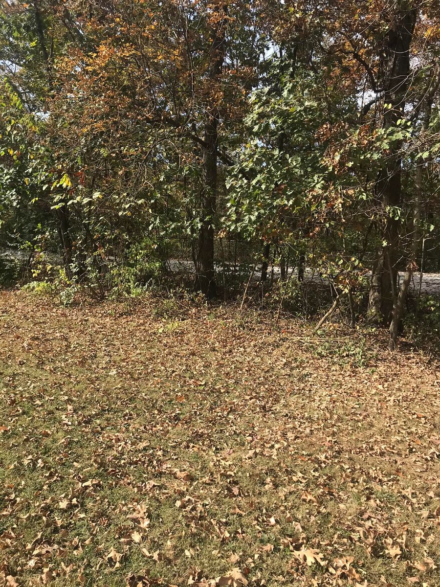 Fall Clean Up for G&K Landscaping in Hillsboro, MO