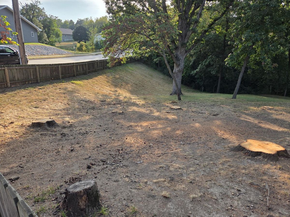 Tree Removal for Lawn Ranger Yard And Tree Service LLC in Ottumwa, IA