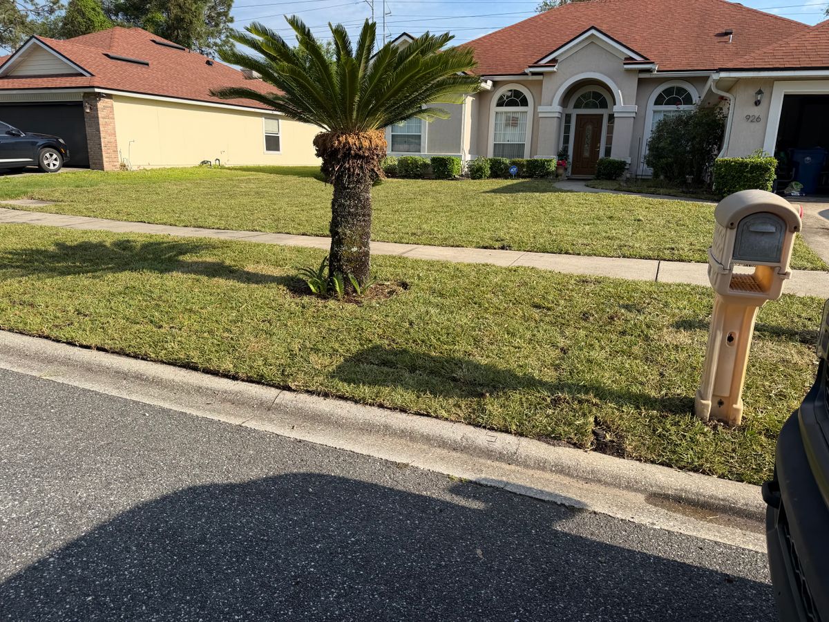 Mowing for All of the Above Landscaping in Orange Park, FL