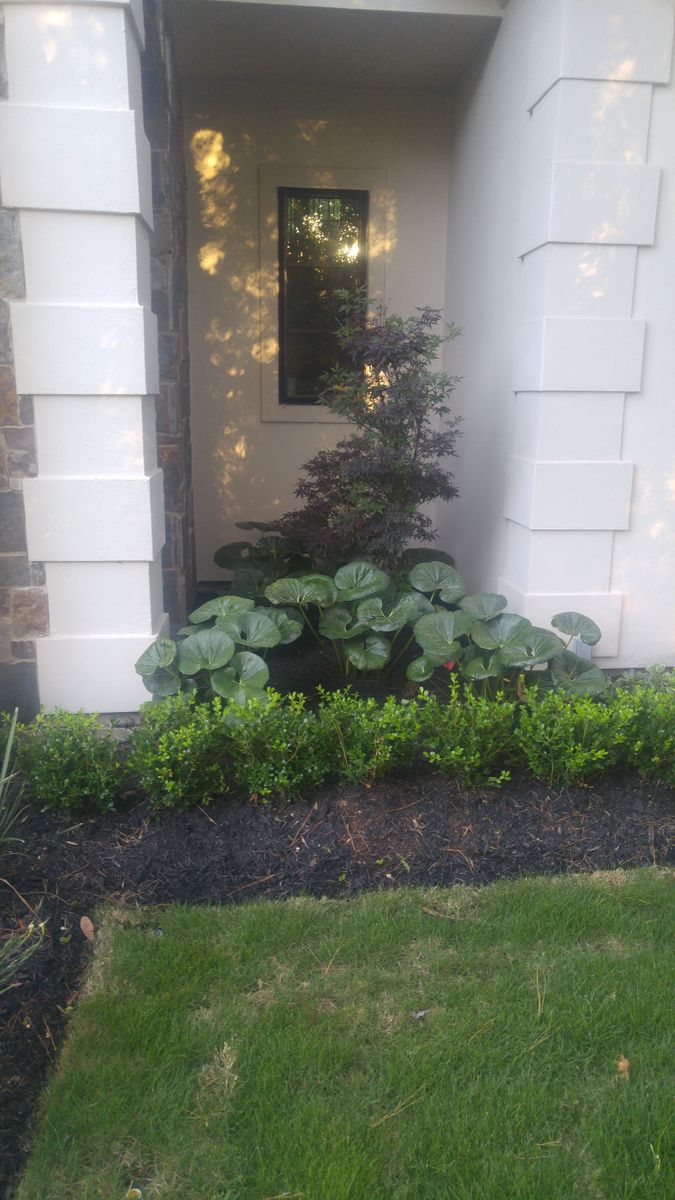 Landscape Installation for Atlas Land Design in Creekside Park, TX