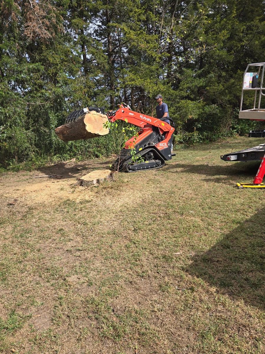 Tree Removal for Lawn Ranger Yard And Tree Service LLC in Ottumwa, IA