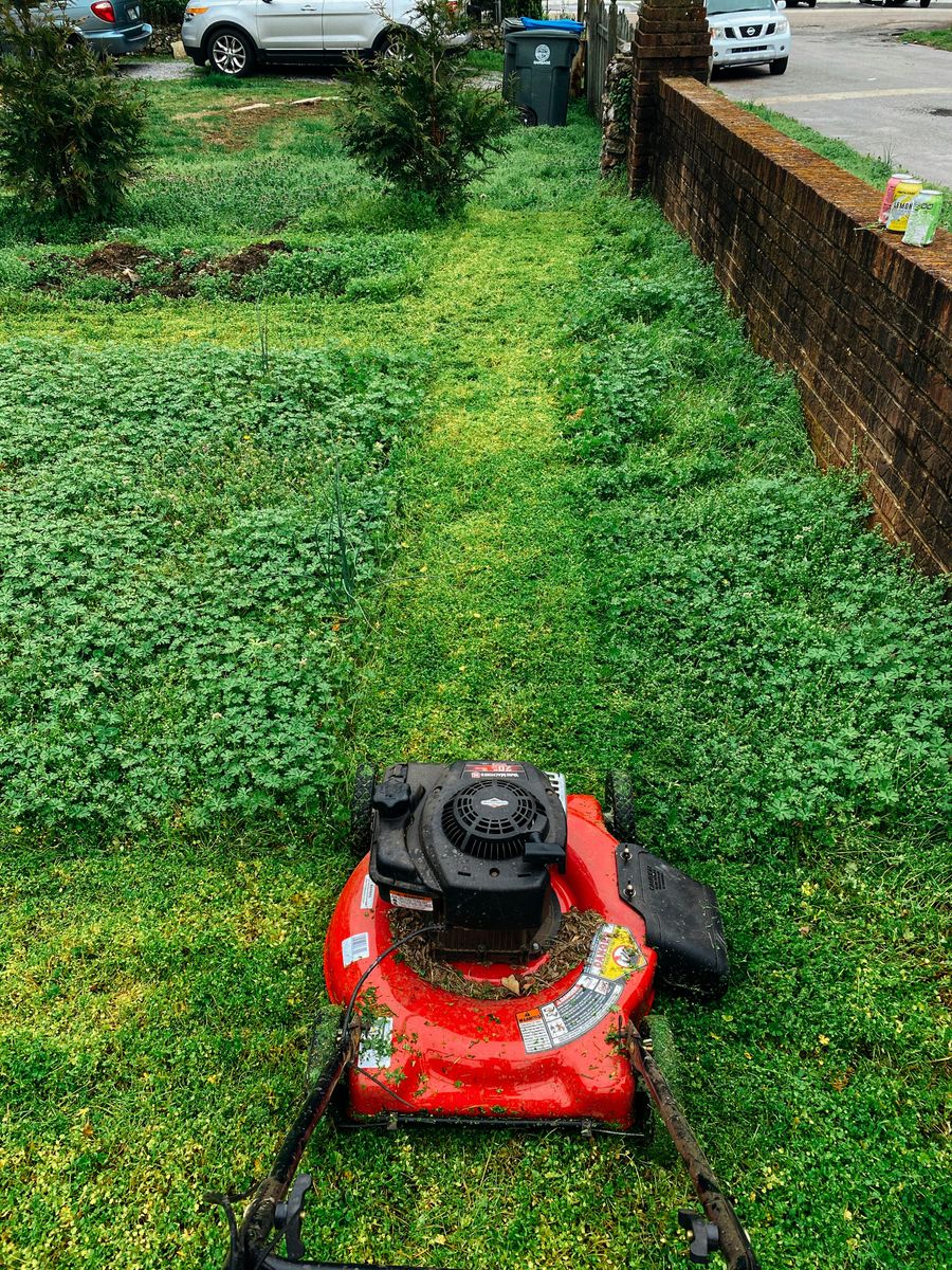 Lawn Service for Omega Granite LLC in Ravenna, TX