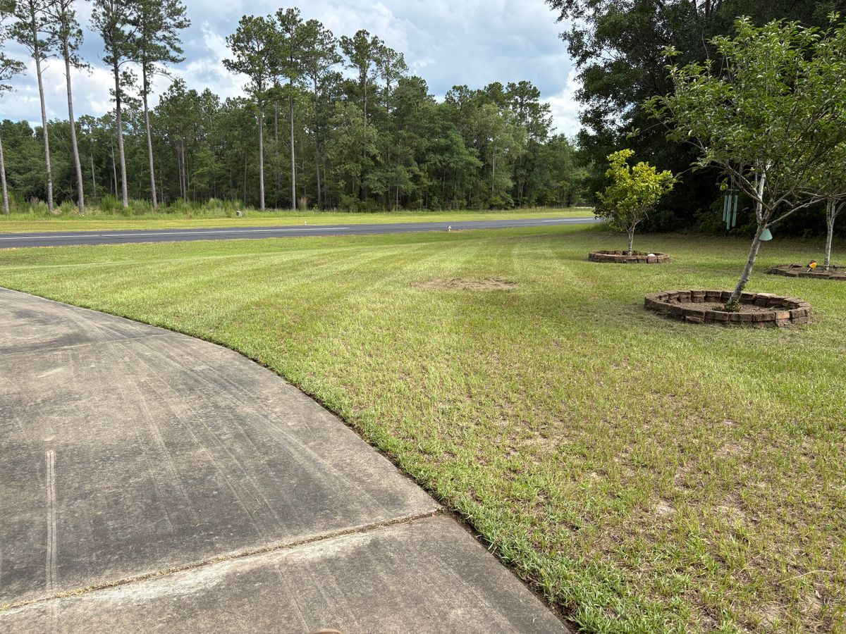 Lawn Maintenance for Southern Roots Mowing in Townsend, GA