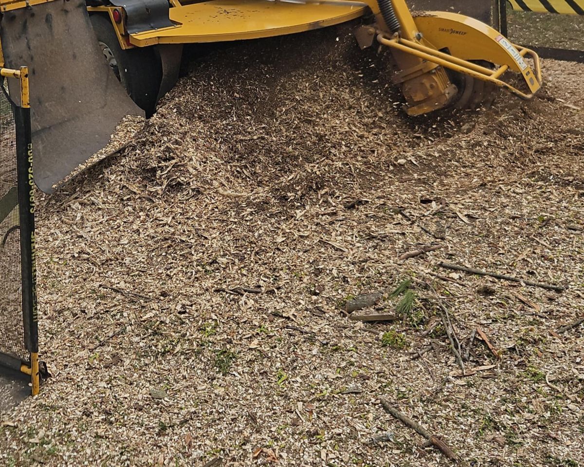 Stump Removal for Highborn Tree Service in Wheatfield, IN